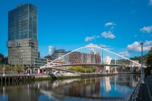 Z San Sebastian: Prywatna wycieczka do Bilbao i Muzeum Guggenheima