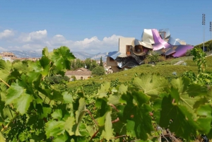 From San Sebastian/Bilbao/Vitoria: La Rioja Wineries Tour