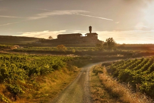 From San Sebastian/Bilbao/Vitoria: La Rioja Wineries Tour