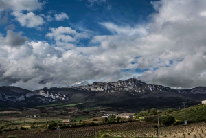 From San Sebastian/Bilbao/Vitoria: La Rioja Wineries Tour