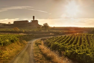 San Sebastianista/Bilbaosta/Vitoriasta: La Rioja Wineries Tour