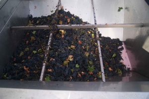 San Sebastianista/Bilbaosta/Vitoriasta: La Rioja Wineries Tour