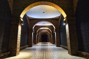 San Sebastianista/Bilbaosta/Vitoriasta: La Rioja Wineries Tour