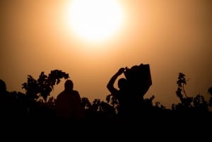 Från San Sebastian/Bilbao/Vitoria: Rioja Wine Tour med lunch