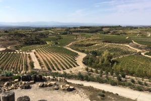 Från San Sebastian/Bilbao/Vitoria: Rioja Wine Tour med lunch