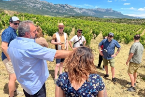 Från San Sebastian/Bilbao/Vitoria: Rioja Wine Tour med lunch