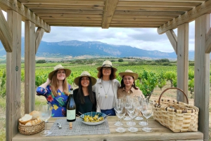 Från San Sebastian/Bilbao/Vitoria: Rioja Wine Tour med lunch
