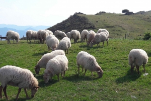 Da San Sebastian: Tour privato della campagna franco-basca