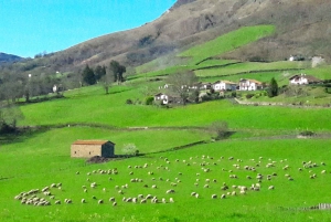 Da San Sebastian: Tour privato della campagna franco-basca