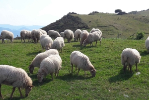 Från San Sebastian: Fransk-baskiska landsbygden Privat tur