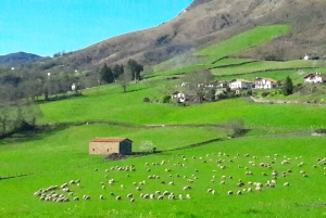 Från San Sebastian: Fransk-baskiska landsbygden Privat tur