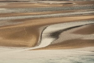 Depuis Saint-Sébastien : Guggenheim et excursion sur la côte basque