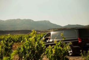 From San Sebastián: La Rioja Wine Region Day Tour