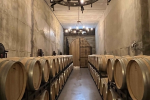 From San Sebastian: Rioja Private Day Trip with Wine Tasting