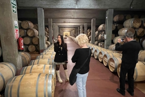 From San Sebastian: Rioja Private Day Trip with Wine Tasting