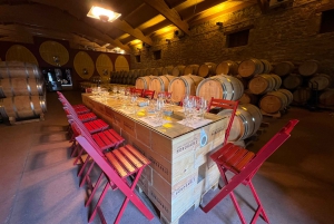 From San Sebastian: Rioja Private Day Trip with Wine Tasting