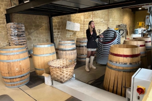 From San Sebastian: Rioja Private Day Trip with Wine Tasting