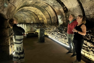 Från San Sebastian: Rioja privat dagsutflykt med vinprovning