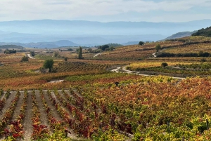 Från San Sebastian: Rioja privat dagsutflykt med vinprovning