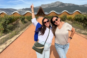 Från San Sebastian: Rioja privat dagsutflykt med vinprovning