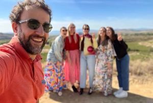 Från San Sebastian: Rioja privat dagsutflykt med vinprovning