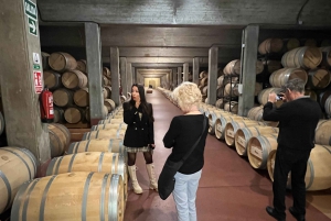 Från San Sebastian: Rioja privat dagsutflykt med vinprovning