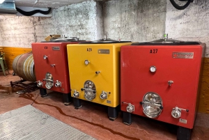 Från San Sebastian: Rioja privat dagsutflykt med vinprovning