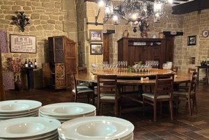 Från San Sebastian: Rioja privat dagsutflykt med vinprovning