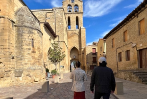 Från San Sebastian: Rioja privat dagsutflykt med vinprovning