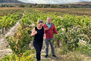 Från San Sebastian: Rioja privat dagsutflykt med vinprovning