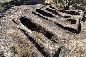 Från San Sebastian: Rioja privat dagsutflykt med vinprovning