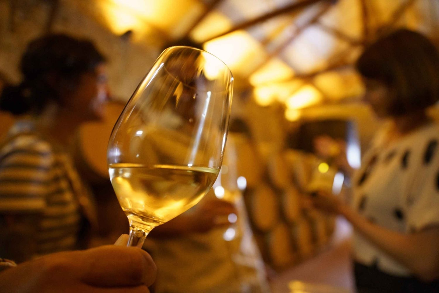 Z San Sebastian: Rioja Uncorked - prywatna wycieczka do winiarni