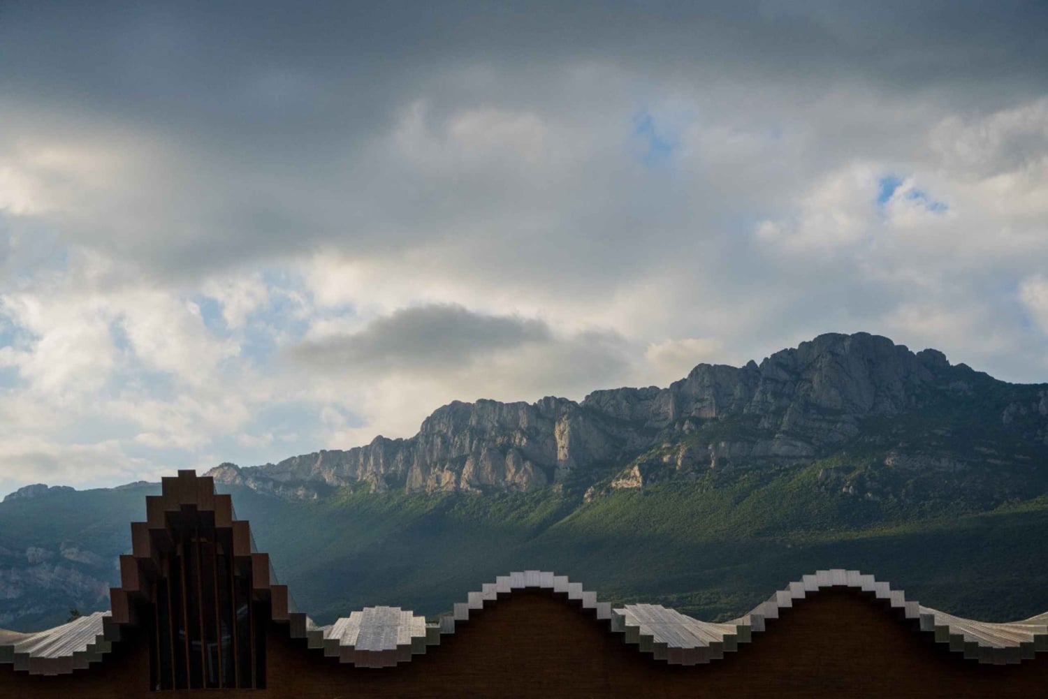 Z San Sebastian: Rioja Uncorked - prywatna wycieczka do winiarni