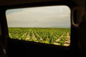 Z San Sebastian: Rioja Uncorked - prywatna wycieczka do winiarni