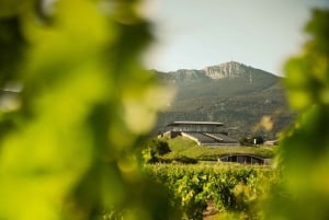 Z San Sebastian: Rioja Uncorked - prywatna wycieczka do winiarni