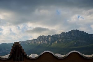 Z San Sebastian: Rioja Uncorked - prywatna wycieczka do winiarni