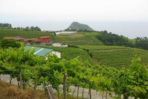 Getaria Txakoli Wine Tour From San Sebastian