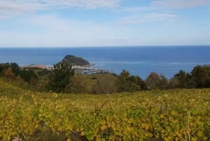 Getaria Txakoli Wine Tour From San Sebastian