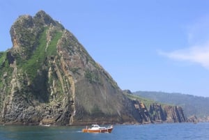 Vandring på Camino de Santiago i San Sebastian
