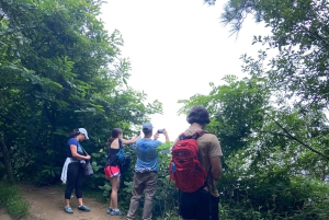 Vandring Ulia | San Sebastian: El Camino de Santiago (vägen)