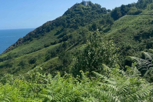 Vandring Ulia | San Sebastian: El Camino de Santiago (vägen)