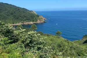 Vandring Ulia | San Sebastian: El Camino de Santiago (vägen)