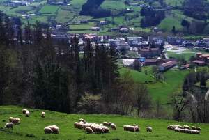 Idiazabal cheese tour from San Sebastian