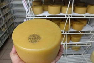 Idiazabal cheese tour from San Sebastian