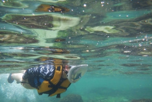 KAYAK & SNORKEL in Hondarribia