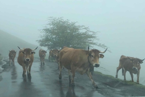 スペイン北部プライベートツアー10日間