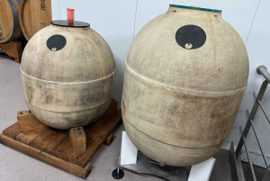 スペイン北部プライベートツアー10日間