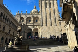 スペイン北部プライベートツアー10日間