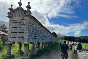 スペイン北部プライベートツアー10日間