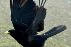 スペイン北部プライベートツアー10日間